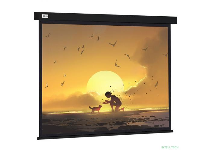 Экран Cactus 150x150см Wallscreen CS-PSW-150X150-BK 1:1 настенно-потолочный рулонный черный