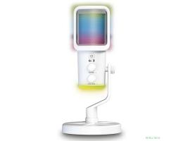 RITMIX RDM-178 USB Gaming White {подкл. Type-C - USB A / Type-C, Jack 3,5 мм на наушники, подсветка, шумоподавление; размеры микрофона: 5 * 15* 5 см}