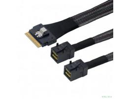 Lr-Link LRSF5443(8i)-SAS4.0 SAS SFF-8654 8i to 2xHDminiSAS SFF-8643 Cable,0.8m(SAS 4.0)