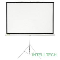 Экран Cactus Triscreen CS-PST-124x221 124.5 x 221см 16:9 напольный рулонный белый/черный