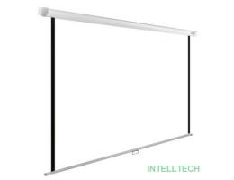 Экран Cactus WallExpert CS-PSWE-200x200-WT 200x200 см 1:1 настенно-потолочный рулонный