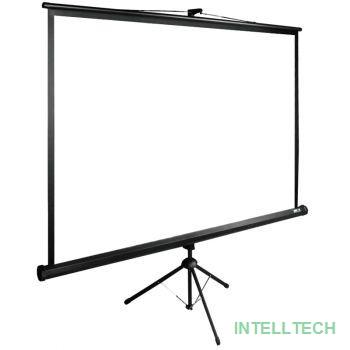 Экран Cactus TriExpert CS-PSTE-200x200-BK 200x200 см 1:1 напольный рулонный