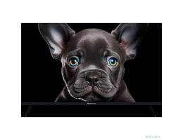 Topdevice 32" TDTV32CS08F_BK/FHD/VA/Smart SBER/1-8 Гб/BT/60Гц/черный