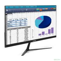 LCD ExeGate 24.5