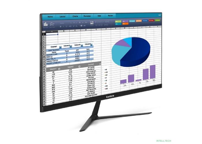 LCD ExeGate 24.5