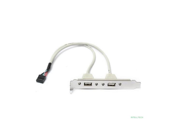 ORIENT C086L30, Планка портов в корпус 2xUSB 2.0, длина кабеля 30см, oem (31302)