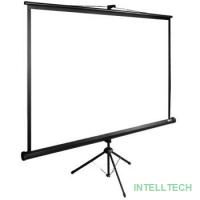 Экран Cactus TriExpert CS-PSTE-220x220-BK 220x220 см 1:1 напольный рулонный
