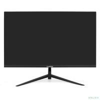 LCD ExeGate 23.8