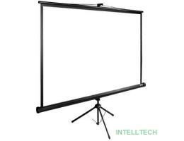 Экран Cactus TriExpert CS-PSTE-160x160-BK 160x160 см 1:1 напольный рулонный