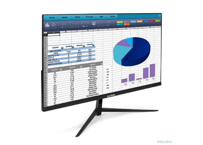 LCD ExeGate 23.8
