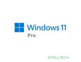 Microsoft Windows 11 [FQC-10547] Лицензия Windows 11 Pro 64-bit Russian 1pk DSP OEI DVD (FQC-10547)