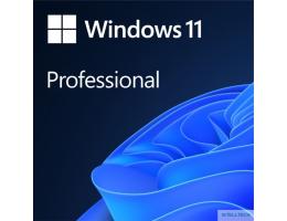 Microsoft Windows 11 [FQC-10529] Professional English 64-bit {1pk DSP OEI DVD}