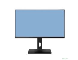 LCD Мониторус HS 2410 (WD2410-K-VHDPI-AS175Q) {23.8",1920x1080,100Гц,VA,16:9,5мс,VGA,HDMI,DP,3000:1,178/178, 250cd, Динамики, регулировка наклона, Внутренний, Реестр МПТ}