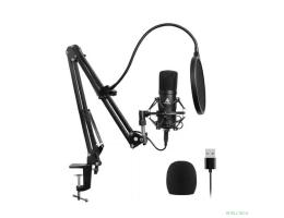 MAONO AU-A04 {Конденсаторный, 192/96/48/44.1кГц  24/16bit, 30Гц – 16кГц, 2,5 м}