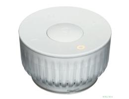 SberBoom Mini 2, неоновый серый, модель SBDV-00250G