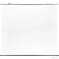 Экран Cactus 180x180см Map type CS-PSRM-180x180-BK 1:1 настенно-потолочный рулонный черный