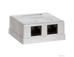 Bion Внешняя сетевая розетка BXP-ENS-C5E-2P-1 RJ-45 cat. 5e, 2 порта, 110&Krone