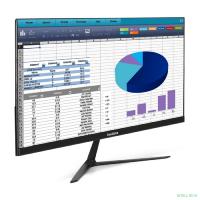 LCD ExeGate 24.5