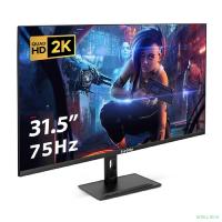 LCD ExeGate 31.5