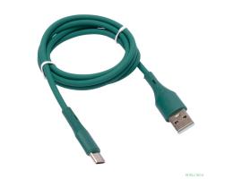 Cablexpert Кабель USB2.0 AM/Type-C, 3А, 18Вт, QC3.0, силиконовый, медь, 1м, зеленый, пакет (CC-USB2S-AMCM-1M-GN)